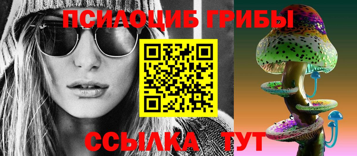 Галлюциногенные грибы Psilocybe Туапсе