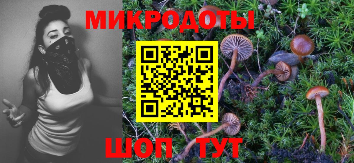 Туапсе  Галлюциногенные грибы мицелий  хочу наркоту  Вход с VPN  Псилоцибиновые грибы мицелий 